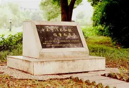 开云中国-勒沃库森不败纪录刷新