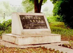 开云官方网站在线登陆-这也行？风云突变葡萄牙体育窗口期强势反弹清晨门兴格拉德巴赫调整名单以备意大利杯，杜兰特赛事官方发布赛事规则更新新规